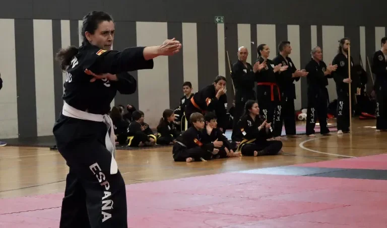 tecnica de manos hapkido kong in campeonato de españa