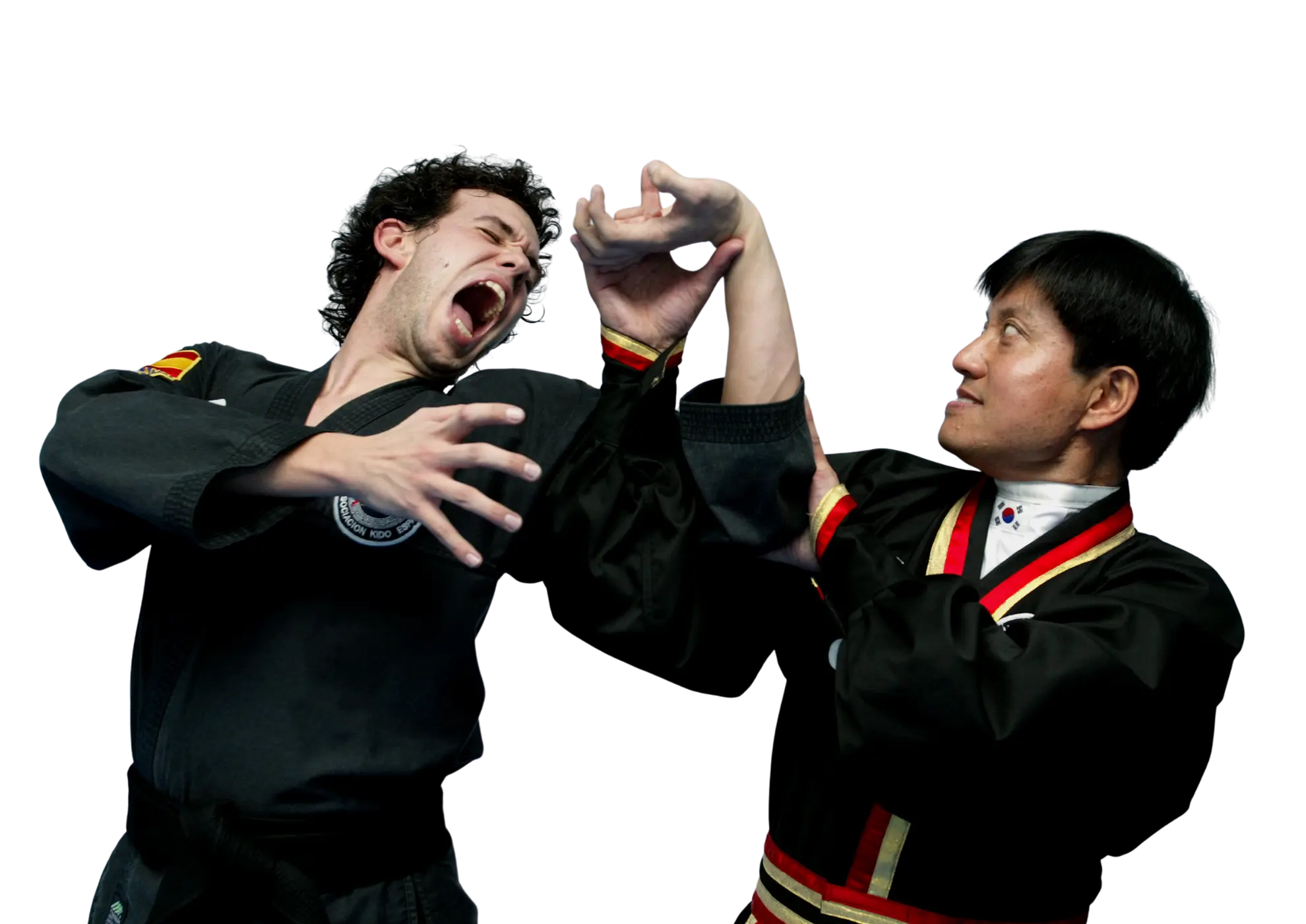 gran maestro hapkido doo hyung cho